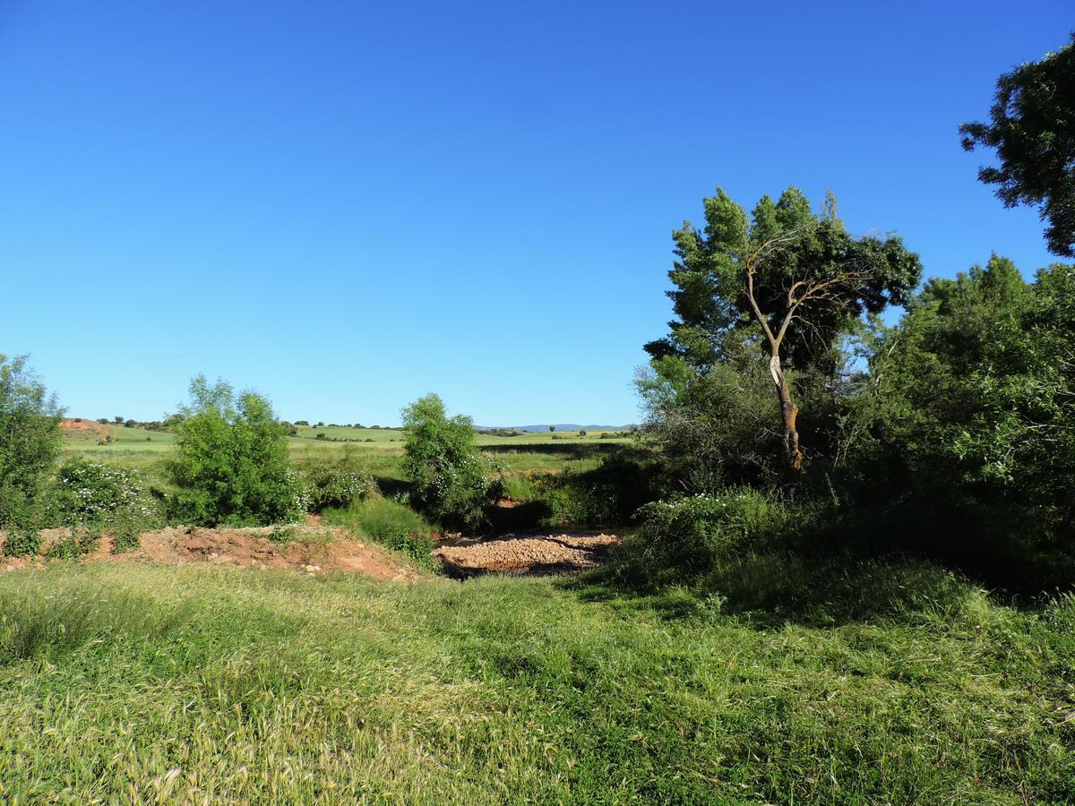 Penzion La Casa Del Cartero Pablo Saldana de Ayllon Exteriér fotografie